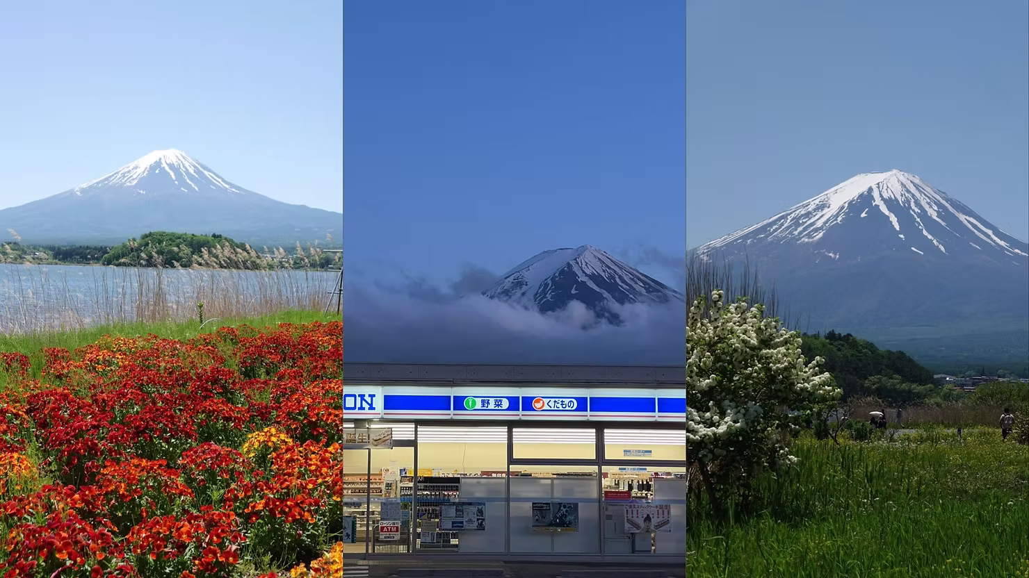 קולאז' פוג'י