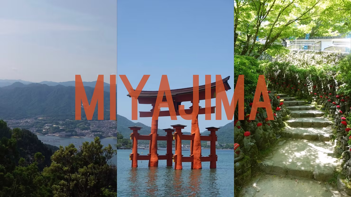 קולאז' מיאג'ימה