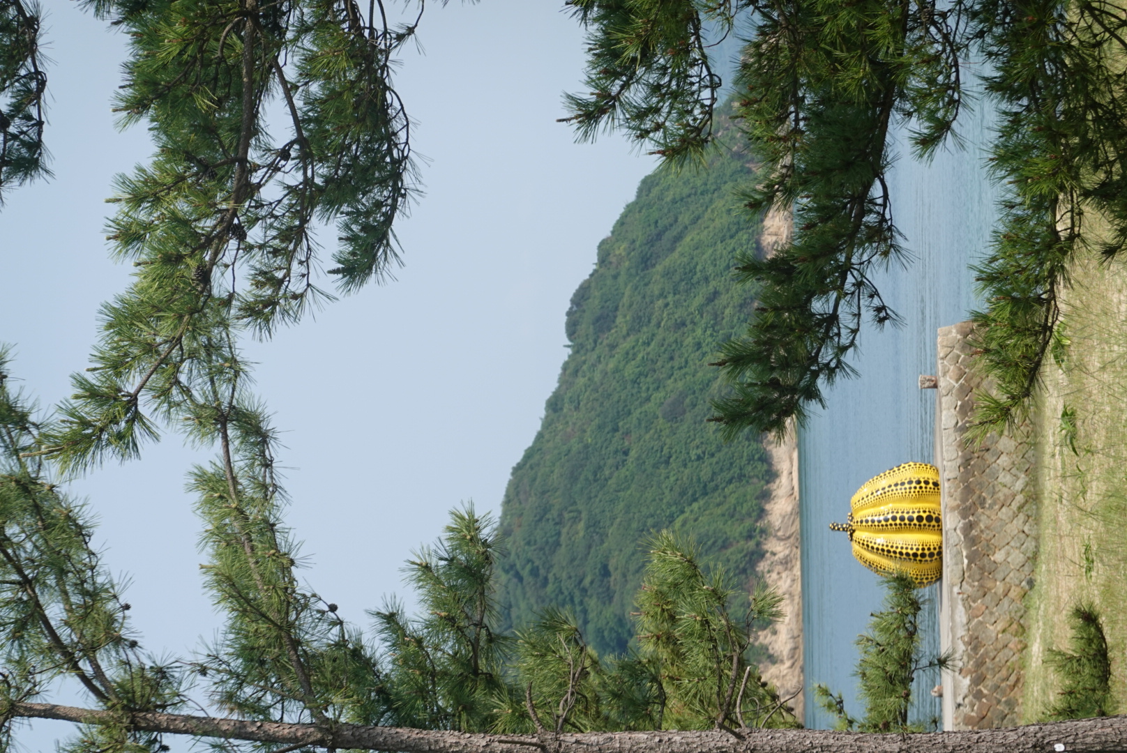 איילנד הופינג