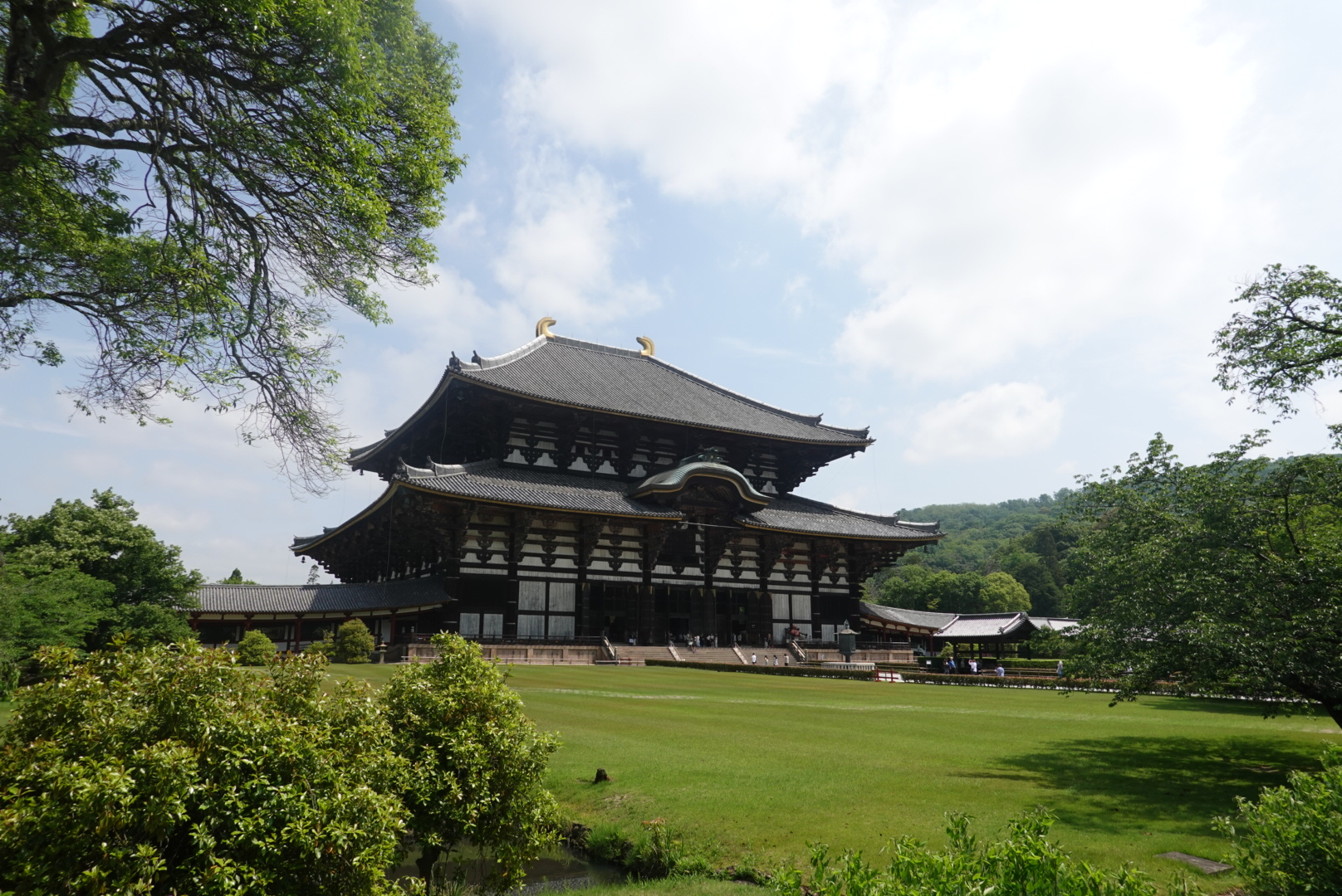 אוג'י ונארה