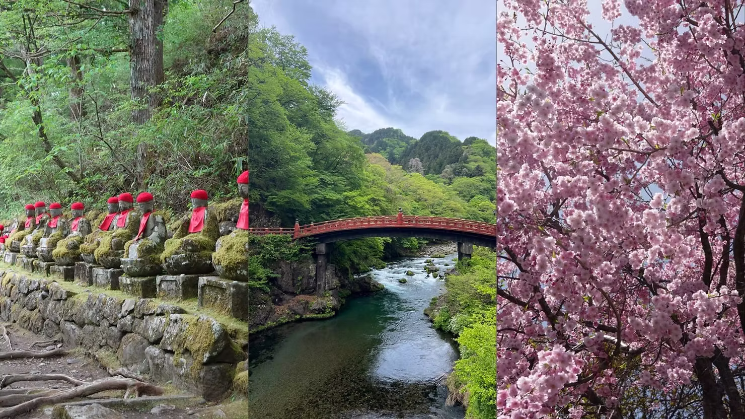 קולאז' ניקו